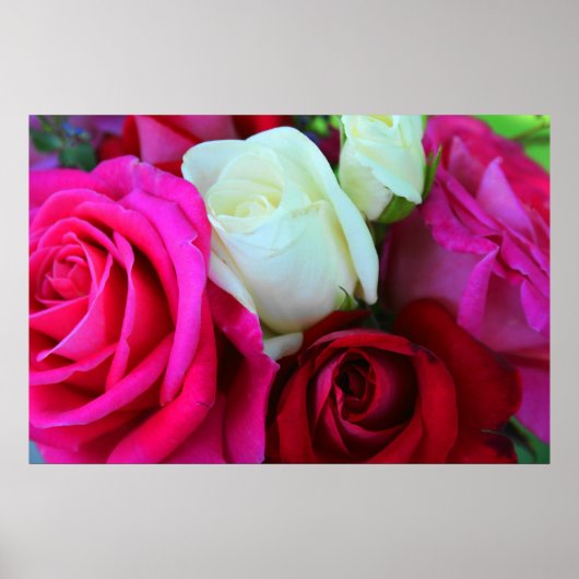 Rozen afdrukken poster (Voorkant)