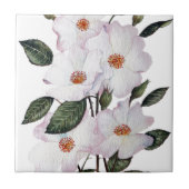 Rozen "Ballerina" - Floral Art Tegeltje (Voorkant)