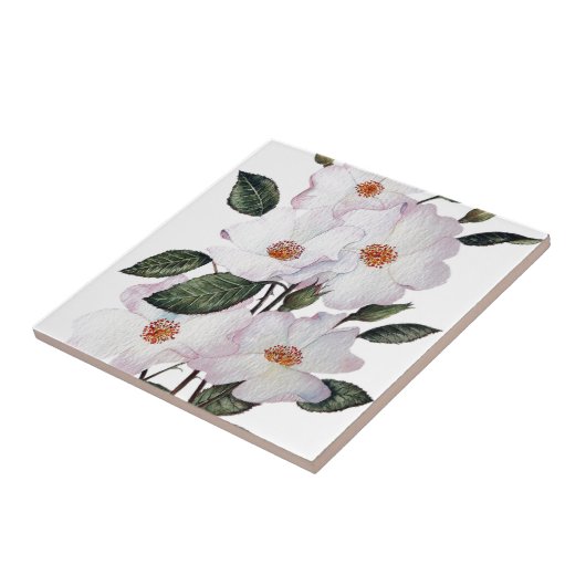 Rozen "Ballerina" - Floral Art Tegeltje (Zijkant)