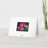 Rozen Beauty Kaart (Achterkant)