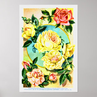 Rozen  bedrijf voor bloemen poster