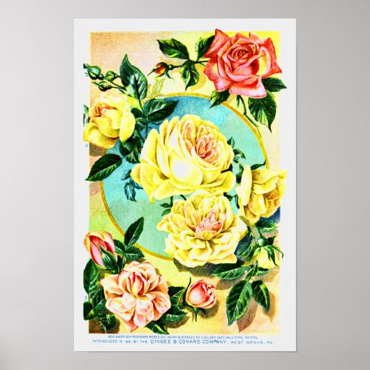 Rozen  bedrijf voor bloemen poster (Voorkant)