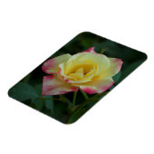 Rozen betekenen liefde! magneet (Linkerzijde)