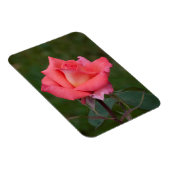 Rozen betekenen liefde! magneet (Rechterzijde)