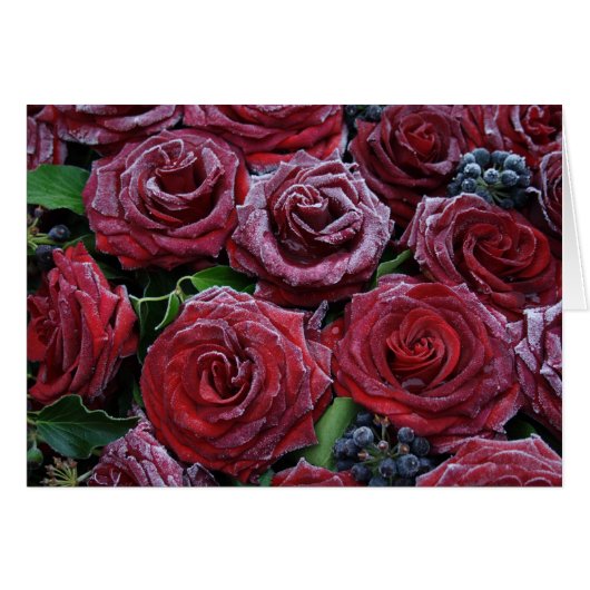 Rozen, bevroren (Voorkant Horizontaal)