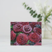 Rozen, bevroren briefkaart (Staand voorkant)