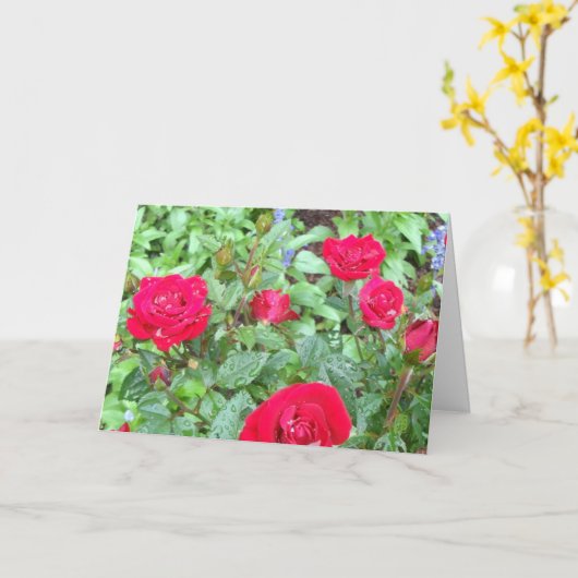 Rozen blanco Wenskaart Kaart (Gele Bloem)