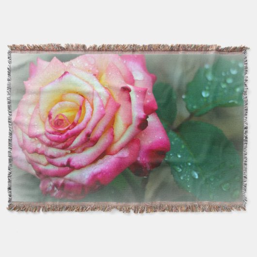 Rozen Blanket/roze & wit Deken (Voorkant)