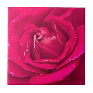 Rozen bloem tegeltje