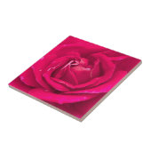 Rozen bloem tegeltje (Zijkant)
