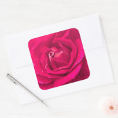 Rozen bloem vierkante sticker (Envelop)