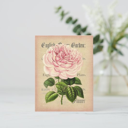 Rozen bloem  vrouwelijk briefkaart met bloemkolf (Staand voorkant)