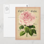 Rozen bloem  vrouwelijk briefkaart met bloemkolf (Voorkant / Achterkant)