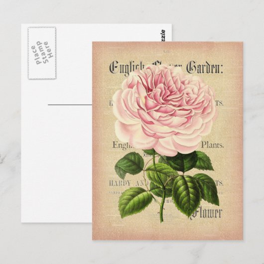 Rozen bloem vrouwelijk briefkaart met bloemkolf (Voorkant / Achterkant)