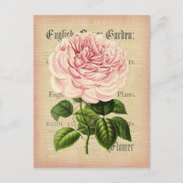 Rozen bloem vrouwelijk briefkaart met bloemkolf