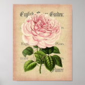 Rozen bloem  vrouwelijk poster met bloemkolf (Voorkant)
