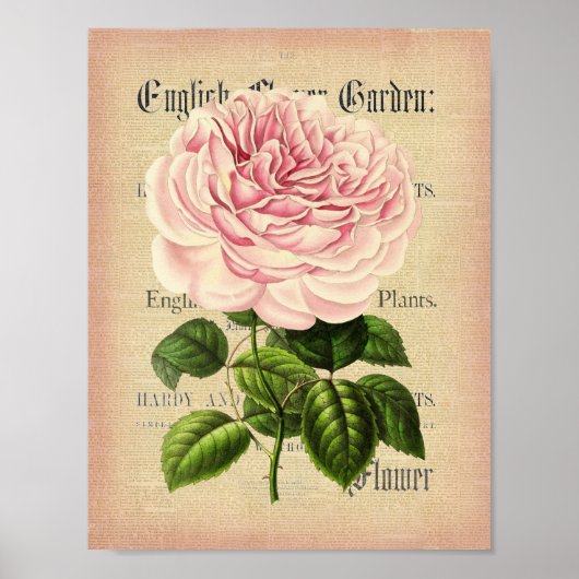 Rozen bloem  vrouwelijk poster met bloemkolf (Voorkant)