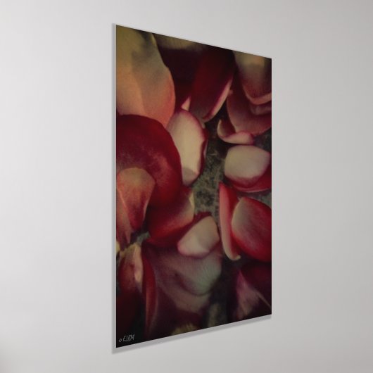  Rozen bloemblaadjes Goud of zilveren foliedruk Folie Afdrukken (Laagn)