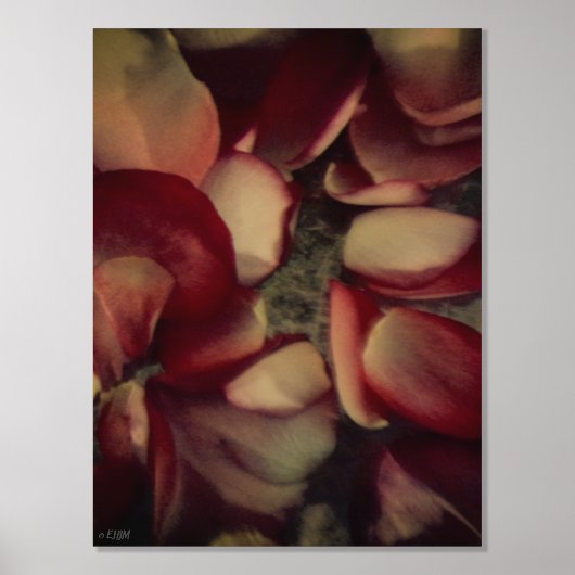  Rozen bloemblaadjes Goud of zilveren foliedruk Folie Afdrukken (Voorkant)