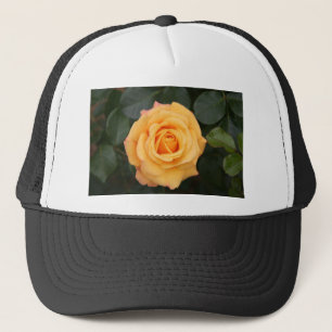 rozen bloemen bloeien liefde vrouw geliefde koppe trucker pet