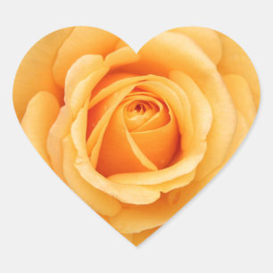rozen bloemen bloem liefde vrouw geliefde koppel hart sticker