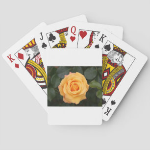 rozen bloemen bloem liefde vrouw geliefde koppel pokerkaarten