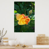 Rozen bloemen poster (Keuken)