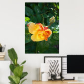 Rozen bloemen poster (Thuiskantoor)