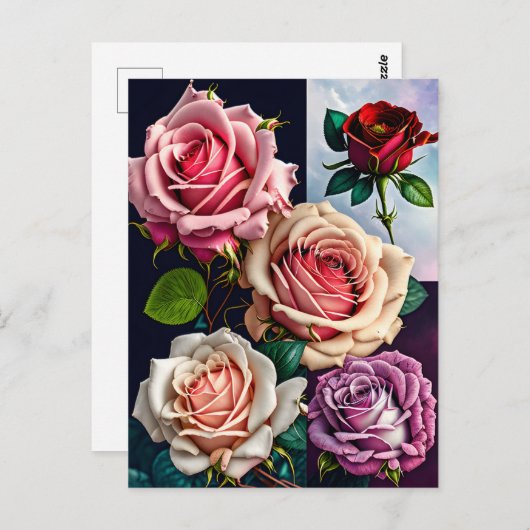 Rozen, bloemen, postkruising briefkaart (Voorkant / Achterkant)
