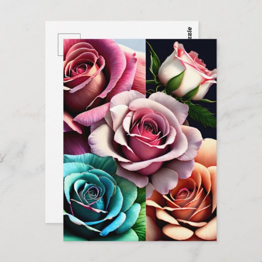 Rozen, bloemen, postkruising briefkaart (Voorkant / Achterkant)