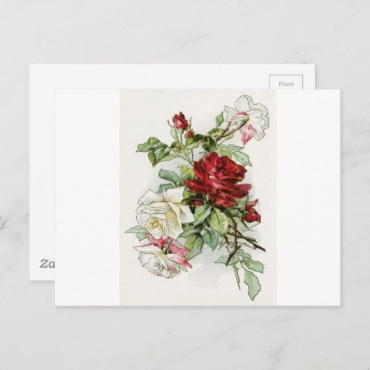 Rozen bloemen  roos Victoriaans Briefkaart (Voorkant / Achterkant)