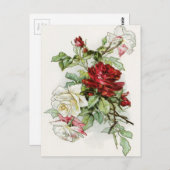 Rozen bloemen  roos Victoriaans Briefkaart (Voorkant / Achterkant)