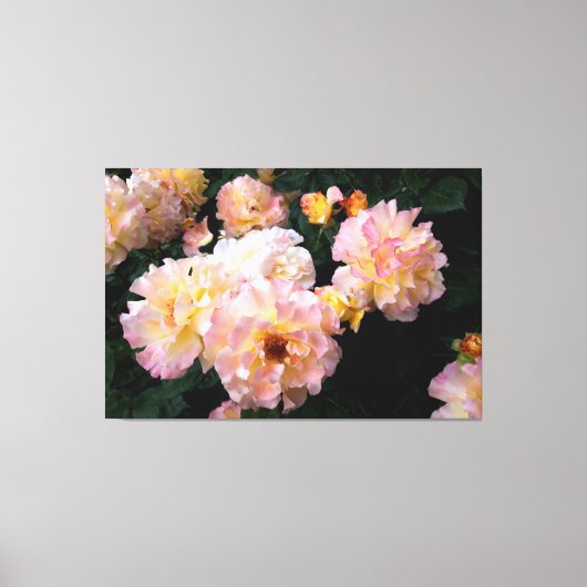 Rozen bloemen, roze gele rozen canvas afdruk (Voorkant)