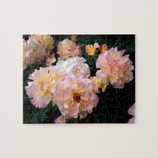Rozen bloemen, roze gele rozen legpuzzel (Horizontaal)