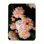 Rozen bloemen, roze gele rozen magneet (Verticaal)