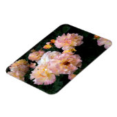 Rozen bloemen, roze gele rozen magneet (Linkerzijde)
