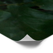 Rozen bloemen, roze gele rozen poster (Hoek)