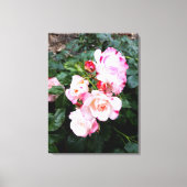 Rozen bloemen, roze rode witte rozen canvas afdruk (Voorkant)
