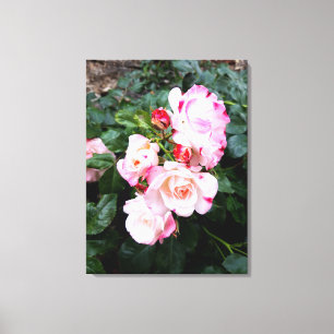 Rozen bloemen, roze rode witte rozen canvas afdruk