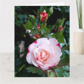 Rozen Bloemen, Roze Rode Witte Rozen Kaart (Voorkant)