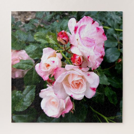 Rozen bloemen, roze rode witte rozen legpuzzel (Verticaal)