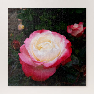 Rozen bloemen, roze rode witte rozen legpuzzel