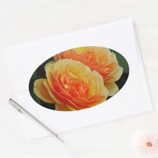 Rozen bloemen/Sinaasappels/envelopsluitingen Ovale Sticker (Envelop)