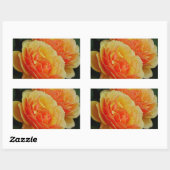 Rozen bloemen/Sinaasappels/envelopsluitingen Rechthoekige Sticker (Vel)