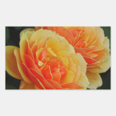 Rozen bloemen/Sinaasappels/envelopsluitingen Rechthoekige Sticker (Voorkant)