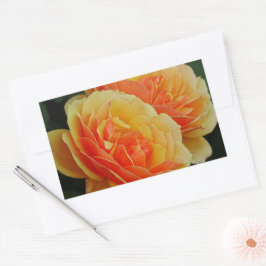 Rozen bloemen/Sinaasappels/envelopsluitingen Rechthoekige Sticker