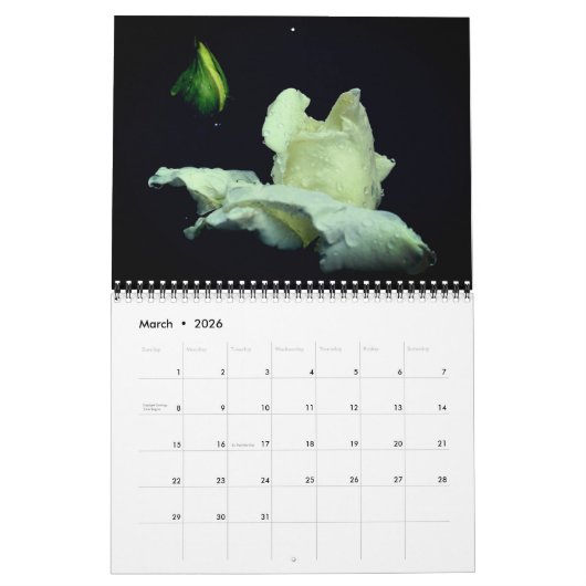 Rozen Bloemfotografie Kalender (Mar 2026)