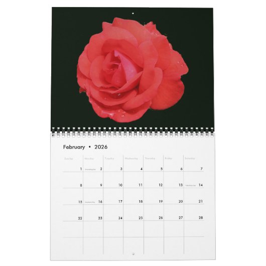 Rozen Bloemfotografie Kalender (Feb 2026)