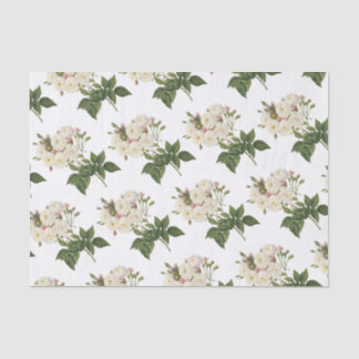 Rozen bloempatroon tissuepapier