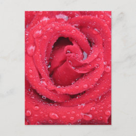 rozen bloesems bloesems bloesems waterdruppeltjes briefkaart